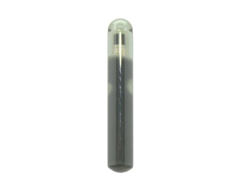 TPX02 Texas Cripto 4D