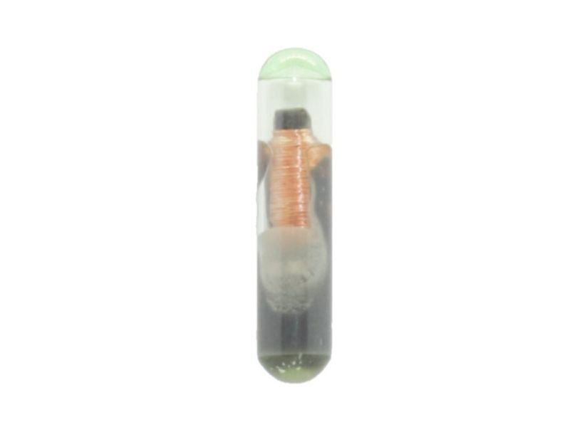 CN900 Transponder Clonable